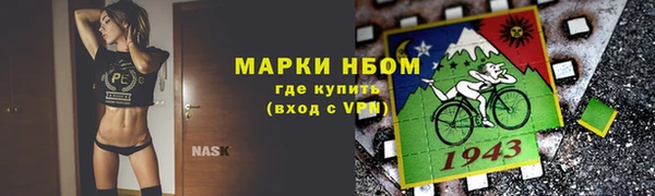 шишки Абаза