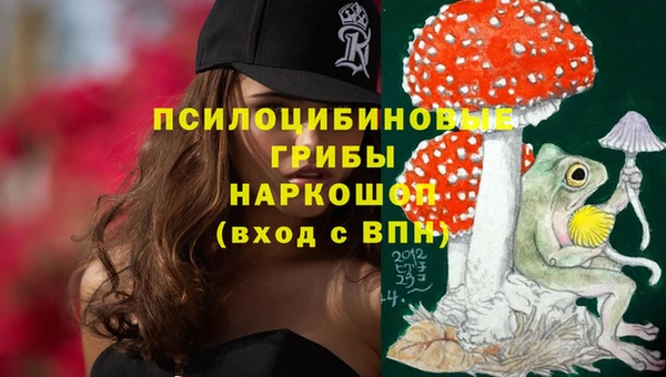 мдпв Алексин