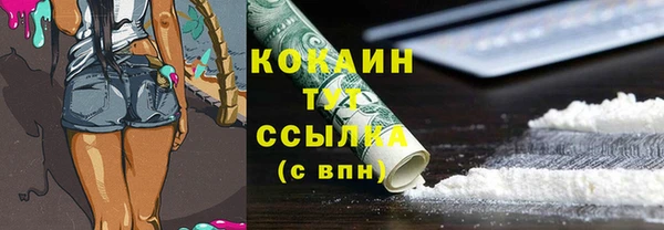 ECSTASY Алзамай
