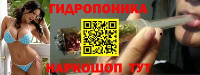 молекула духа Волжский