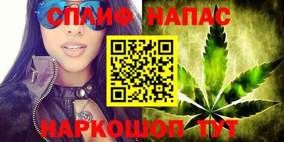 молекула духа Волжский