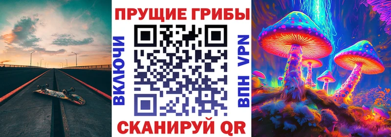 Галлюциногенные грибы прущие грибы  Бердск 