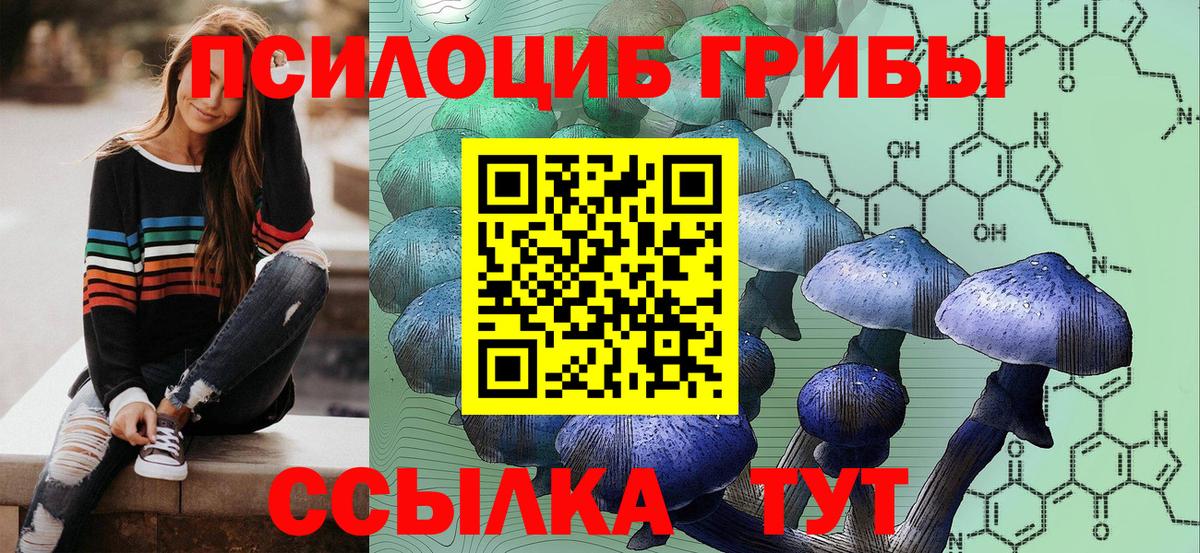 Псилоцибиновые грибы прущие грибы Бердск